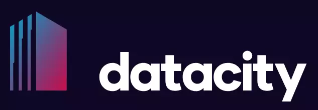 The Data City logo