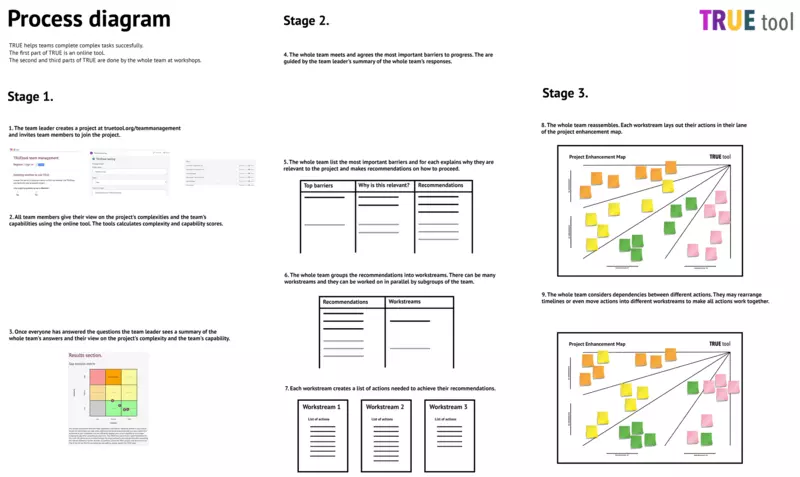 TRUE Process Details