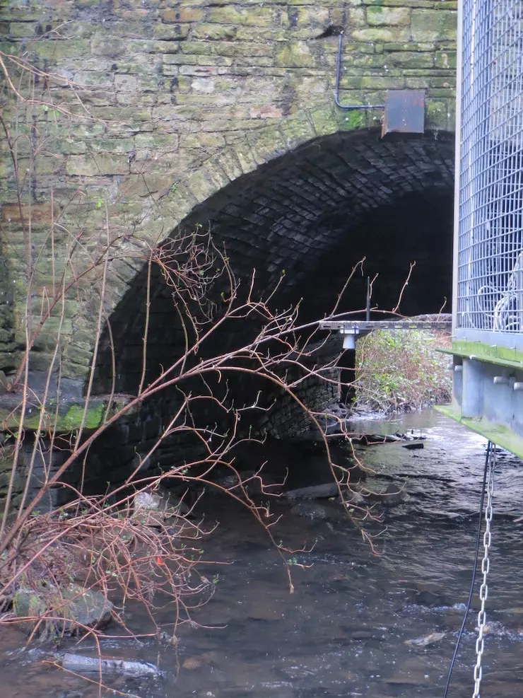 Flood sensor mounted on a pole over Bradford Beck.